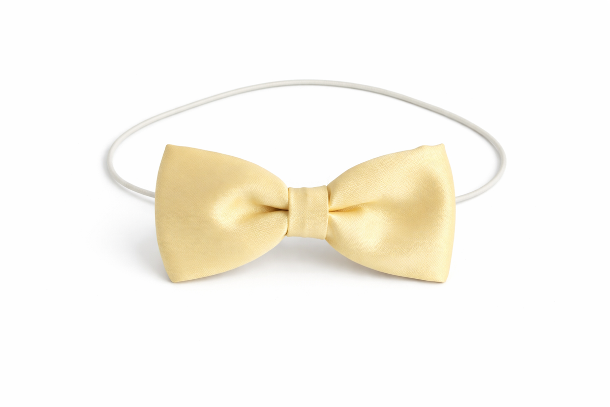 CHAMPAGNE CREAM SATIN ELASTIC BOW TIE - ABW560CCRM