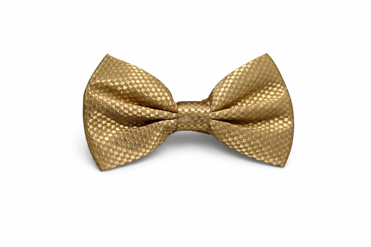 ROYAL GOLD TEXTURED BOW TIE - ABW105GLD24086