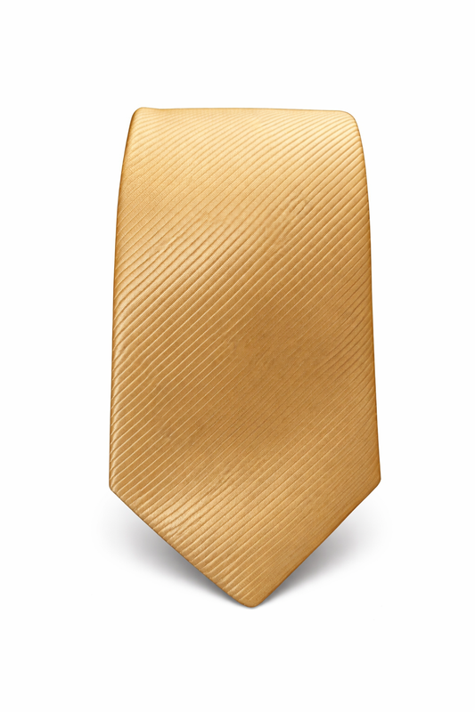 RIBBED SATIN CHAMPAGNE GOLD LONG TIE - ABW500CHGLD